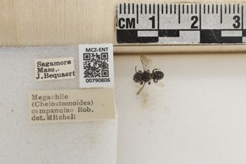 Media type: image;   Entomology 790806 Aspect: Labels